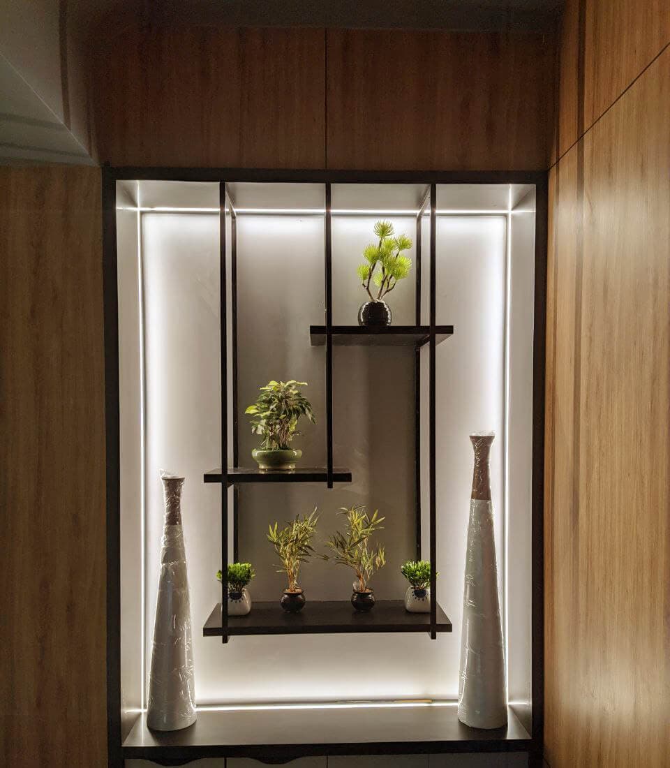 Lit display shelf with plants in the office
